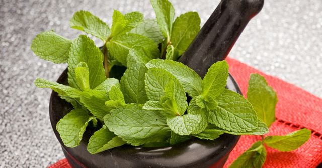 5 простих засобів, які позбавлять від зубного болю - фото 153312