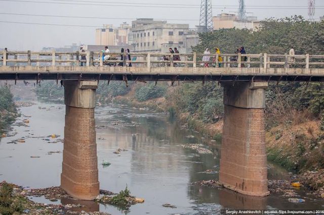 Як виглядають звичайні будні мешканців Пакистану: вражаючі фото - фото 149184