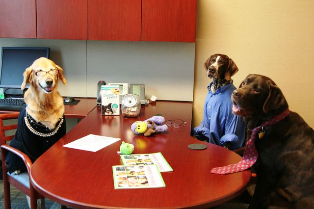 9 вражаючих цікавинок про тварин - фото 149935