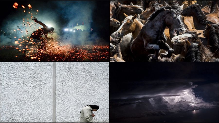 Фотографія як мистецтво: роботи фіналістів Smithsonian Photo Contest 2016