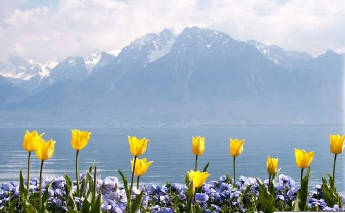 Пуховик чи пальто? Якою буде погода в Україні наступного тижня