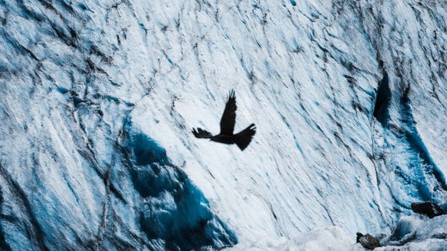 Сувора краса кристалічного масиву в Альпах: вражаючі фото - фото 150139