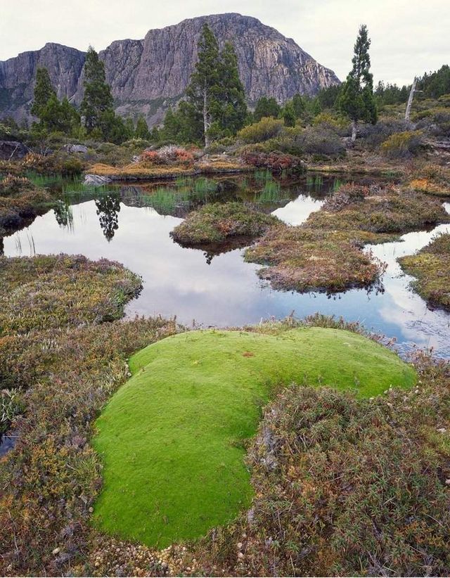 Як виглядає первісна краса Тасманії - фото 150535