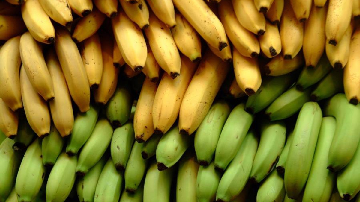 Банани - фото 1