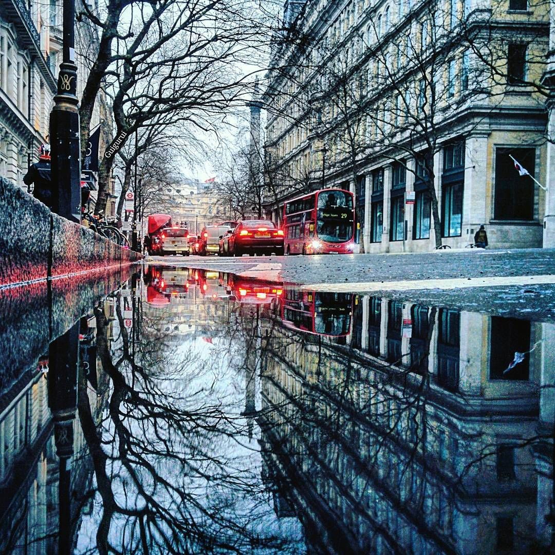 Як виглядає світ у калюжах: неймовірні фото