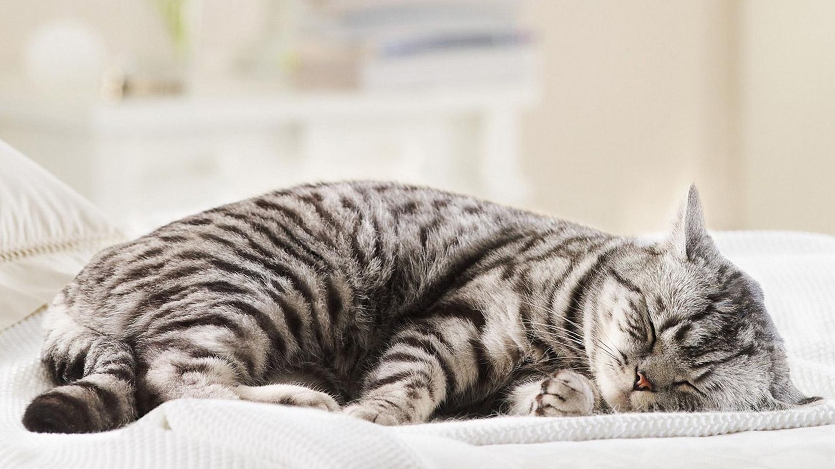 Як визначити свій характер за позою сну