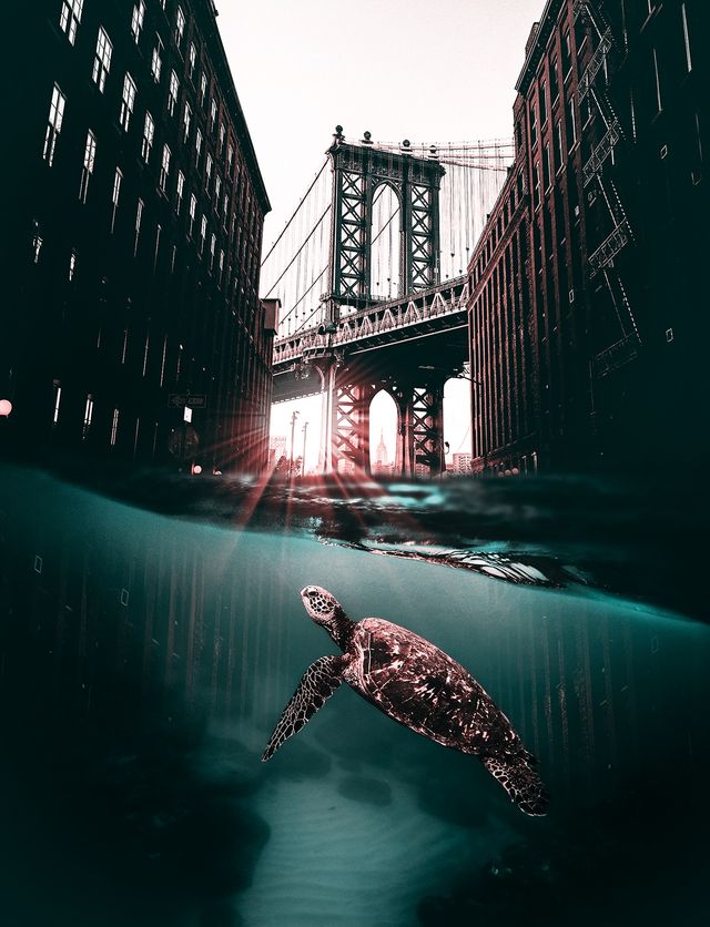 Як природа і технології поєднуються в цифрових колажах - фото 153972