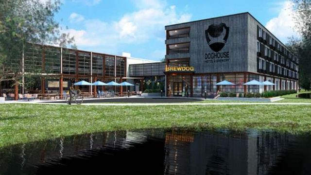 Рай для пиволюбів: як виглядає найхмільніший готель світу - фото 151964