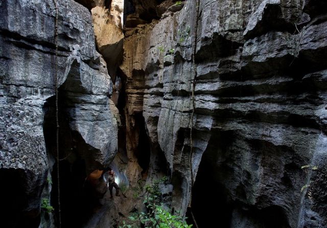Як виглядає кам'яний ліс на Мадагаскарі: неймовірні фото - фото 149257