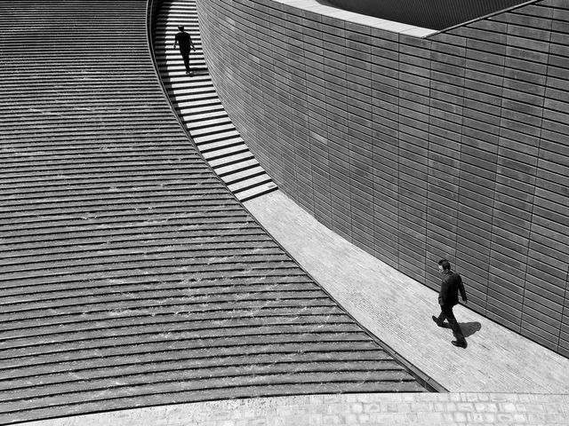 Фотографія як мистецтво: роботи фіналістів Smithsonian Photo Contest 2016 - фото 148059