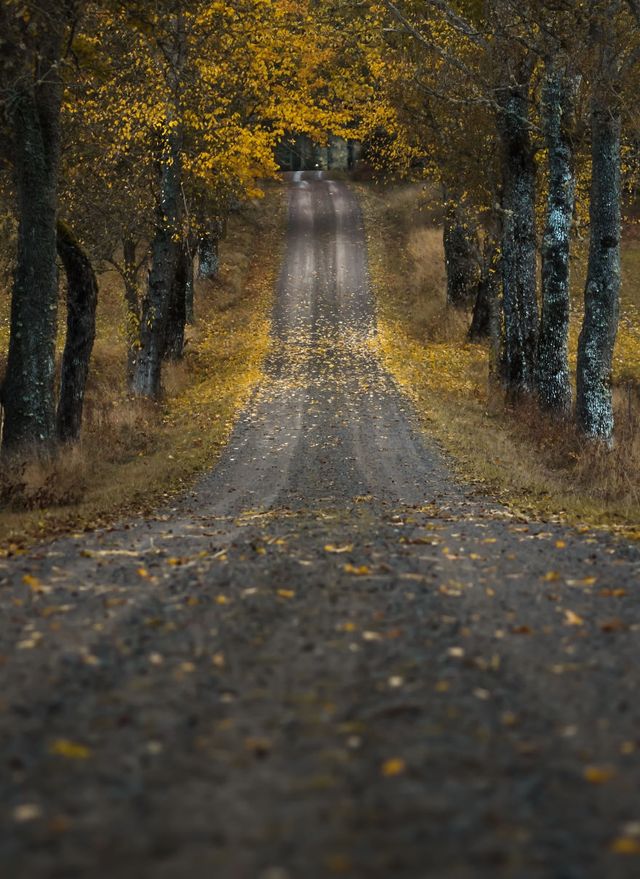 Сувора краса невідомої Швеції: вражаючі фото - фото 155015