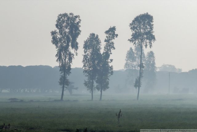 Індія з вікон автобусів: незвичайні фото - фото 155782