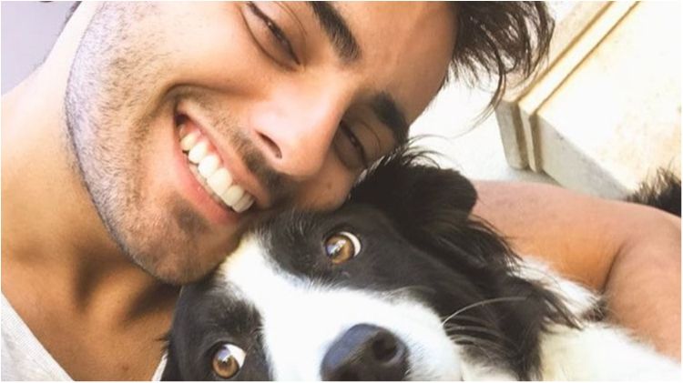 Ці красунчики допомагають вижити бездомним тваринам