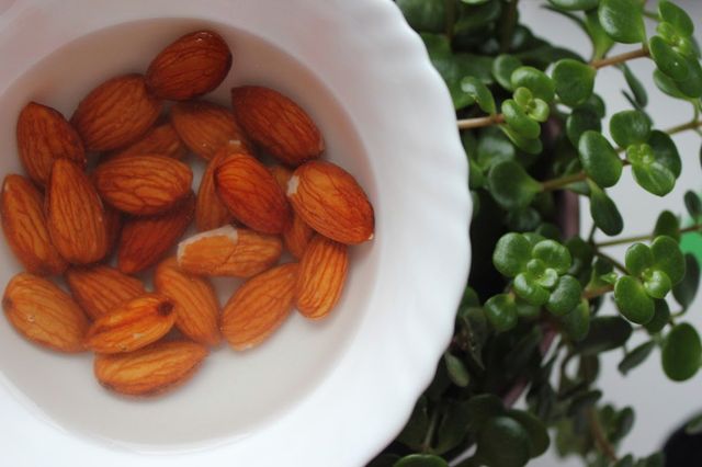 Несподівано: чому горіхи треба замочувати перед тим, як їсти - фото 148222