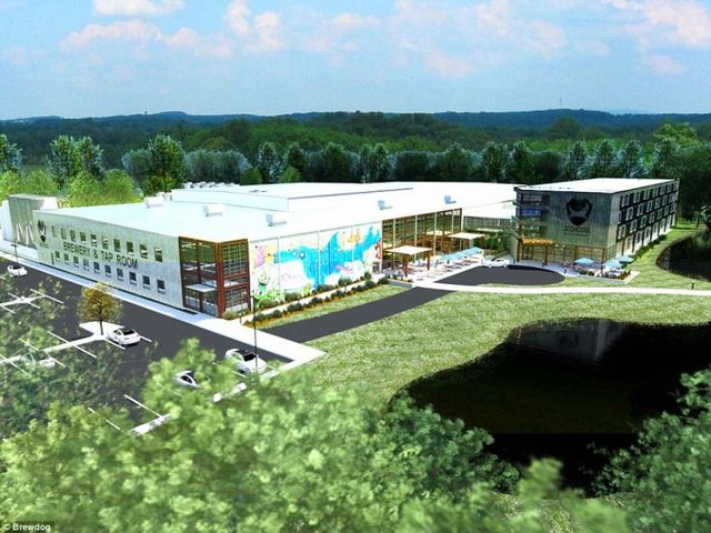 Рай для пиволюбів: як виглядає найхмільніший готель світу - фото 151968