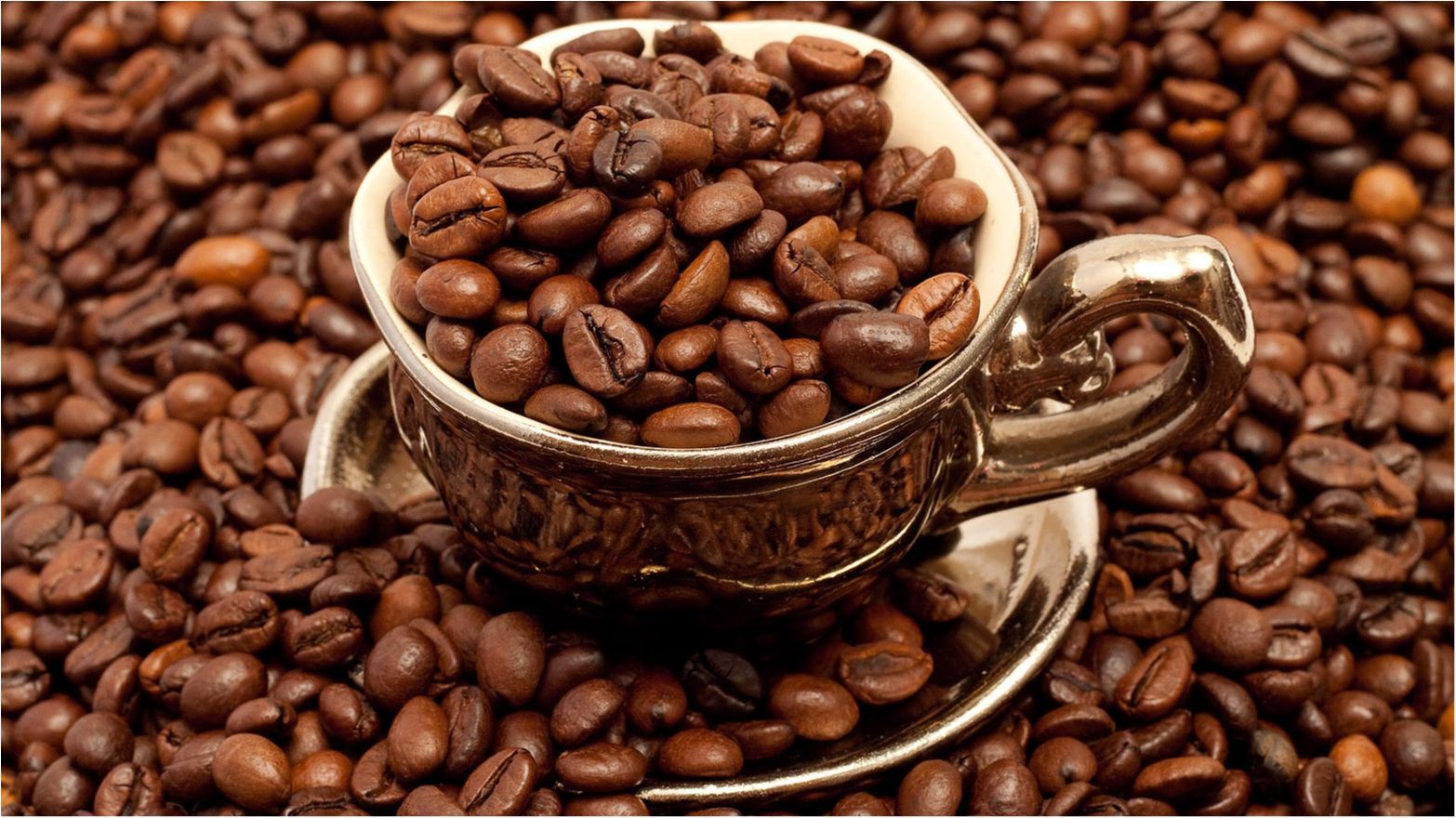 Будьте обачні! Ці 7 продуктів підробляють найчастіше