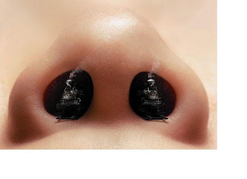 Вчені з’ясували, як нюх допомагає прогнозувати власну смерть