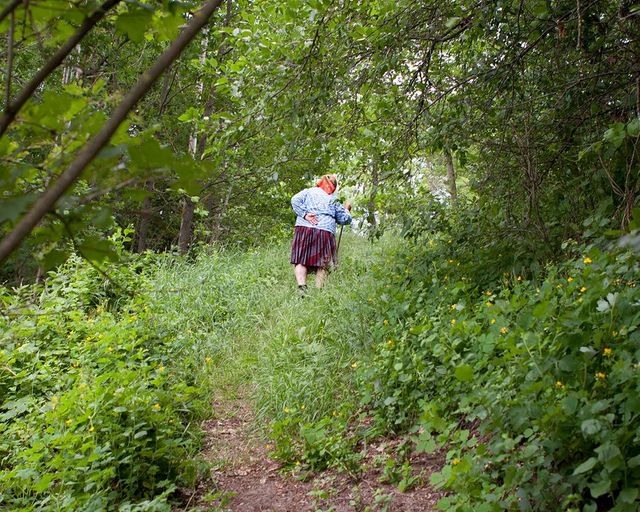 Як зараз виглядає життя у Чорнобильській зоні: вражаючі фото - фото 148520