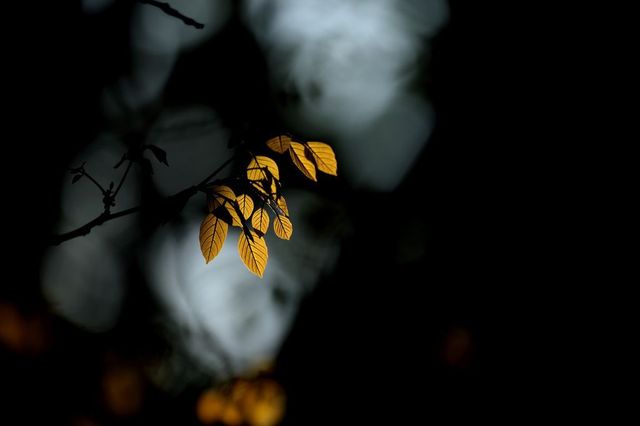 Найкращі весняні фото National Geographic, від яких перехоплює дух - фото 152730