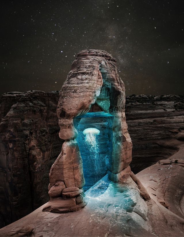 Як природа і технології поєднуються в цифрових колажах - фото 153973