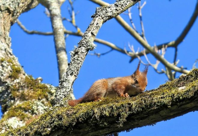 Погода в перший день весни: в Україні очікують до +17