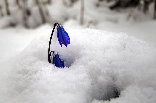 Білорусь на Великдень раптово замело снігом: вражаючі фото - фото 160206