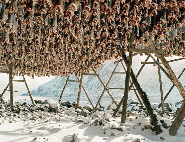 Суворе життя рибалок Аляски: вражаючі фото - фото 160043