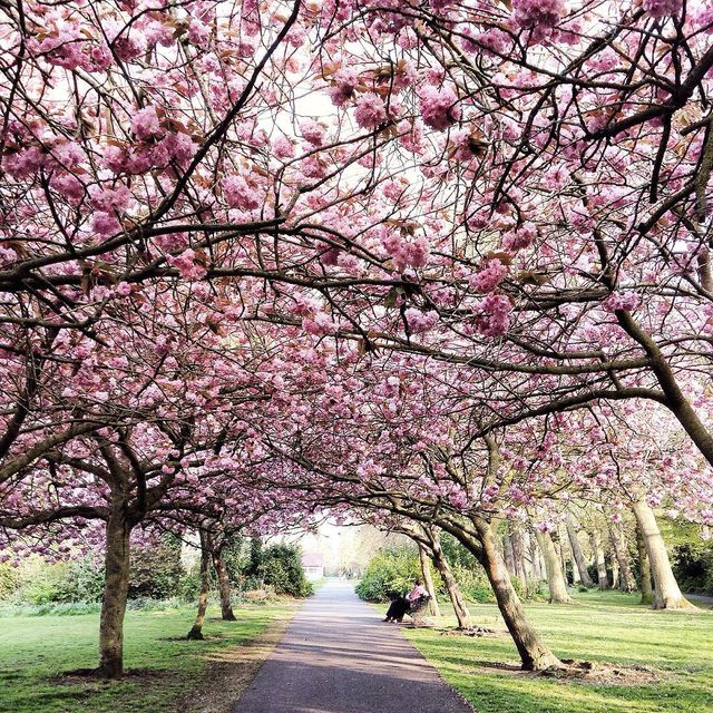 Вулицями Дубліна: колоритна фотоподорож - фото 160863