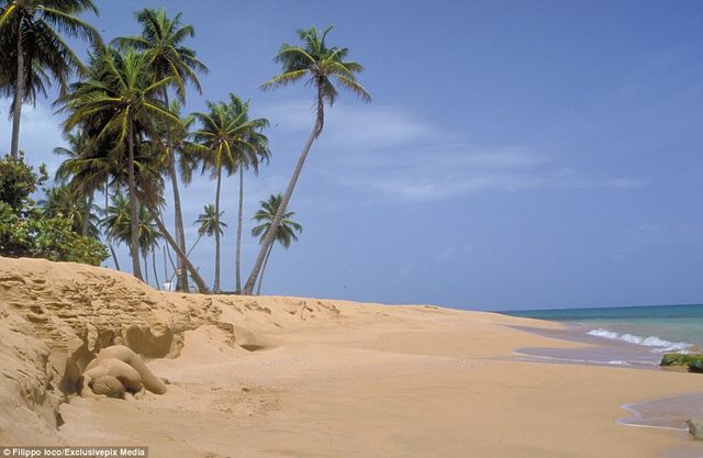 Знайди жінку: фотограф створив унікальну серію знімків - фото 156385