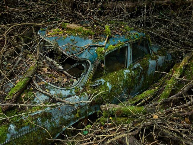 Остання "райська стоянка" автомобілів: ефектні фото - фото 161810