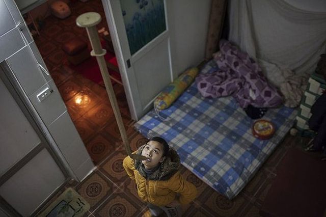 Фотограф показав, як насправді живуть циркачі - фото 161874