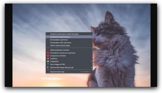 Як зберігати фото з Instagram без зайвих додатків - фото 159156