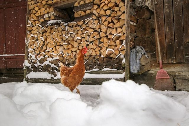 Білорусь на Великдень раптово замело снігом: вражаючі фото - фото 160208