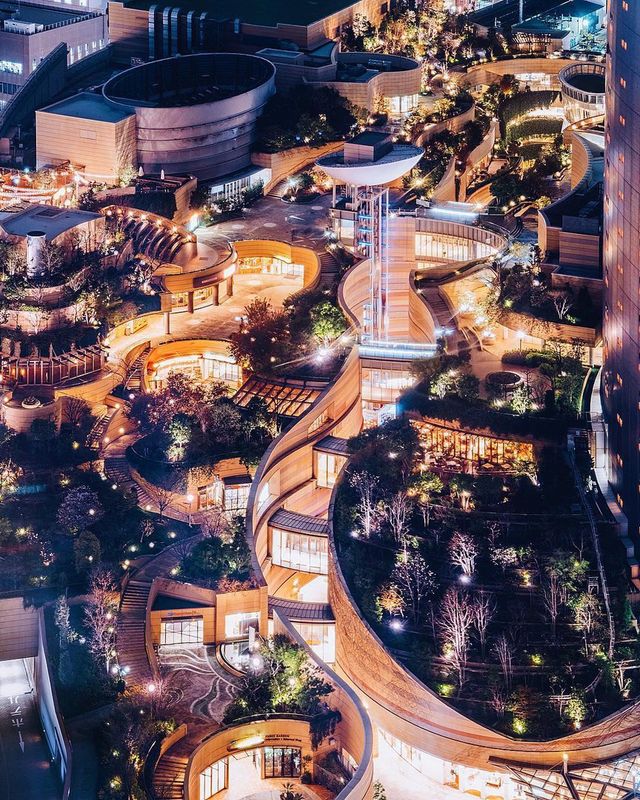 Японія очима мандрівника: вражаючі фото - фото 162010