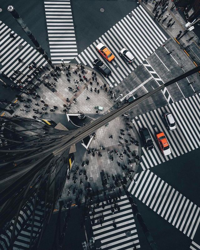 Як виглядає весна в Токіо: чарівні фото - фото 160820