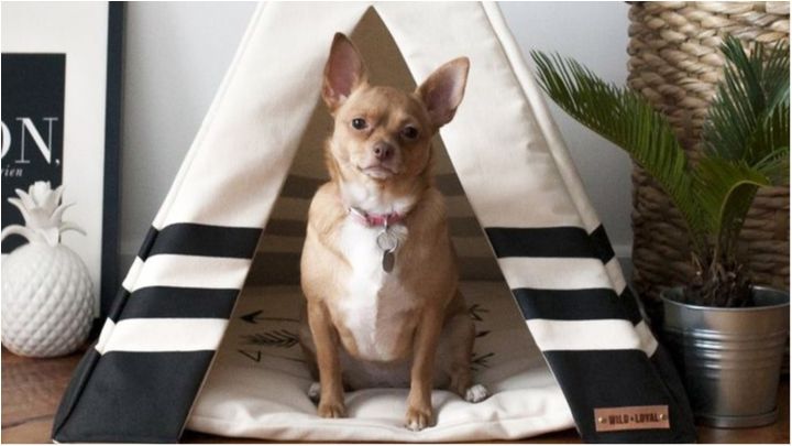 Геніальні ілюзії, які нагадають вам про дуже важливу справу