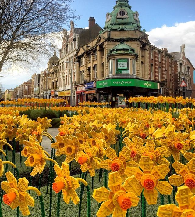 У британському містечку "розквітло" поле Lego-нарцисів - фото 159207