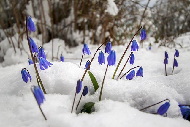 Білорусь на Великдень раптово замело снігом: вражаючі фото - фото 160213