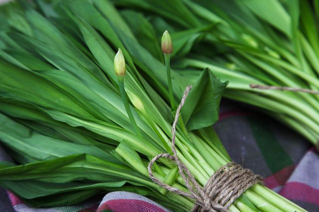 Які продукти потрібні організму після посту? - фото 160417