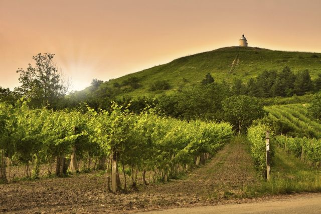 Яскрава і дивацька Чехія: неймовірні фото - фото 158832