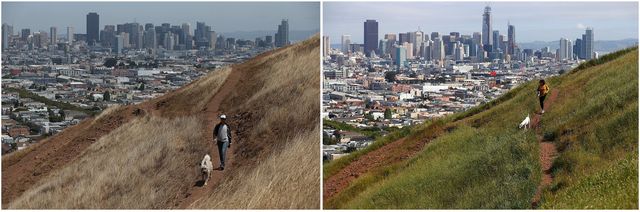 Каліфорнія оживає після найсильнішої посухи - фото 160922