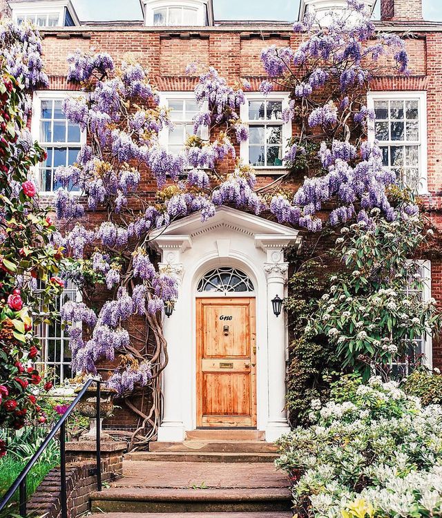 Гліцинія та архітектура: як виглядає весна у Лондоні - фото 161995