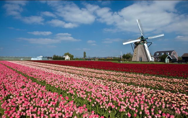 Пакуйте валізи! Визначено найкращі місця для відпочинку в квітні - фото 156959