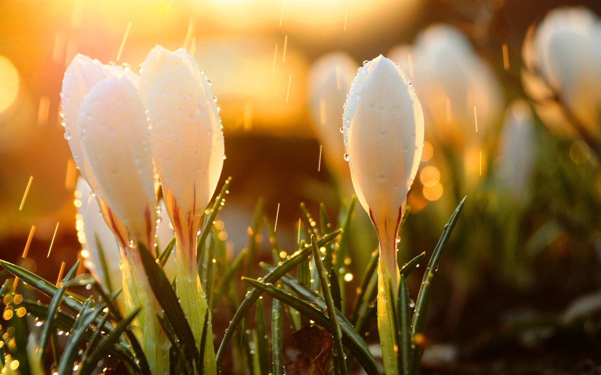 Коли українцям очікувати значне похолодання - фото 1