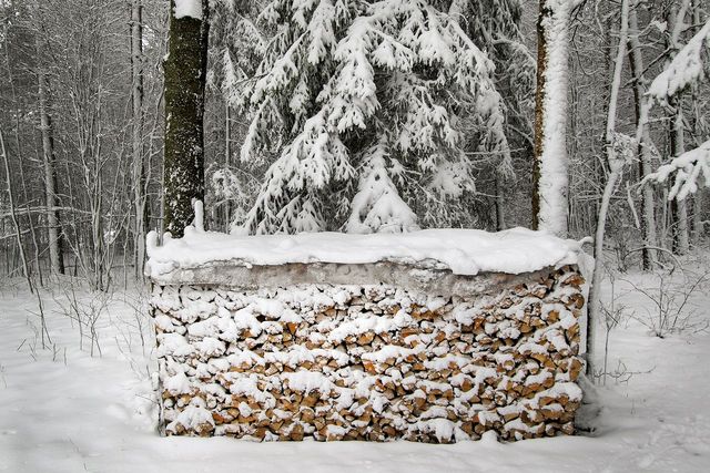 Білорусь на Великдень раптово замело снігом: вражаючі фото - фото 160222
