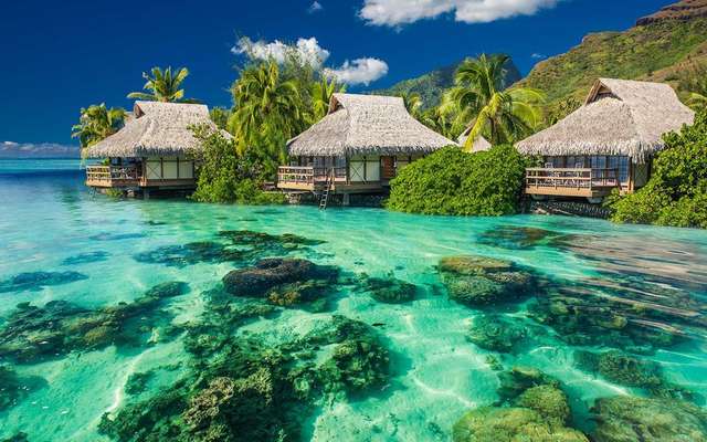 Відпочинок для двох: 15 найромантичніших островів у світі - фото 156420