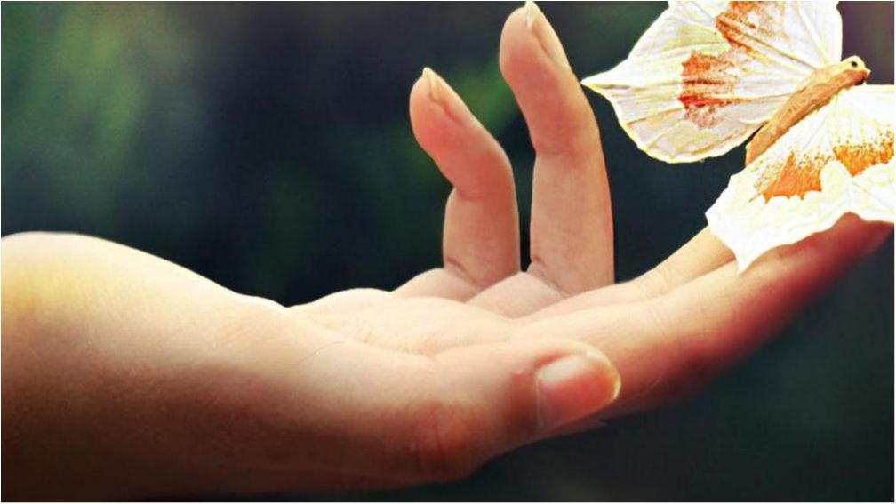 Долоні - фото 1