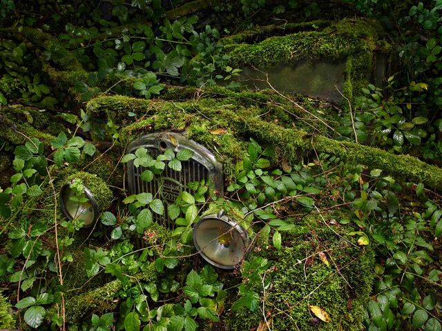 Остання "райська стоянка" автомобілів: ефектні фото - фото 161807