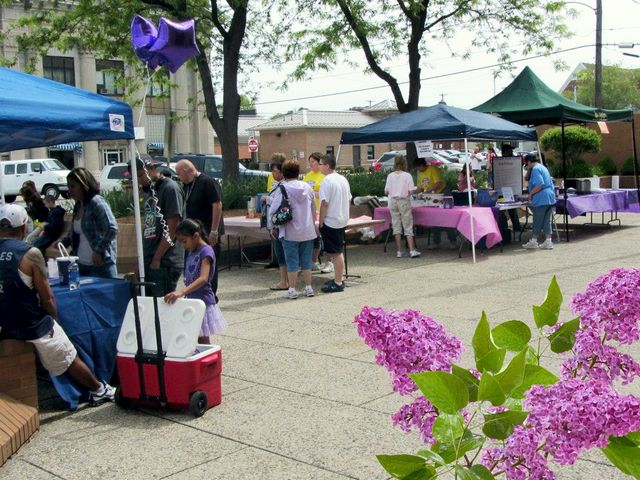 Як виглядає фестиваль бузку у США: яскраві фото - фото 156865
