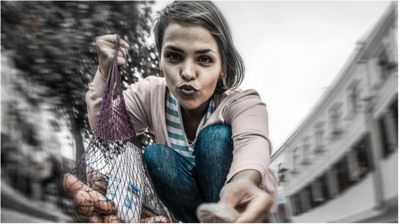 Фотограф показав світ очима бездомного собаки